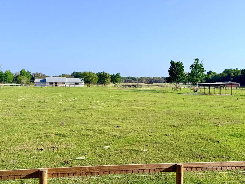 Front of house & 5-acre pasture